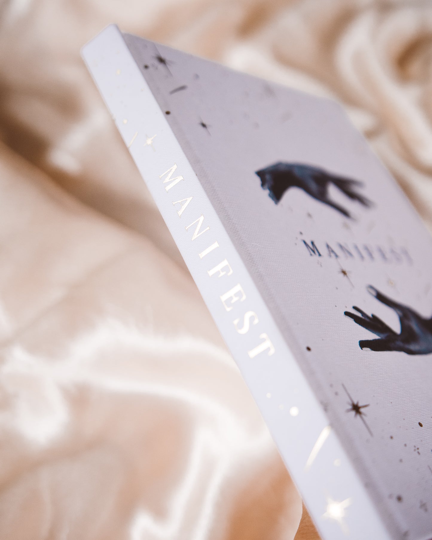 Dreamy Moons Manifest Book