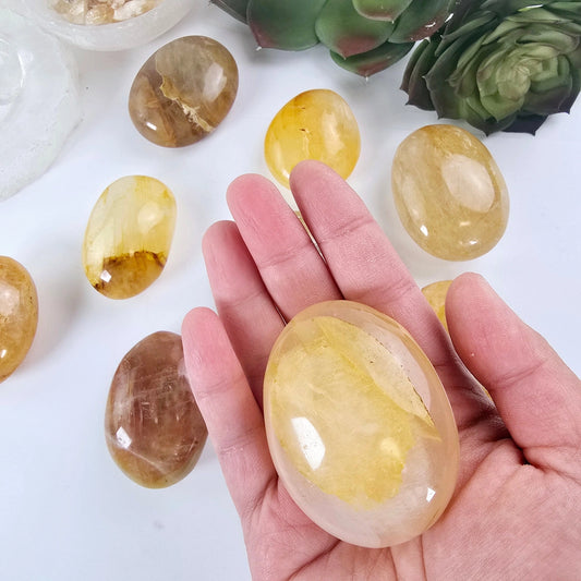 Golden Healer Palm Stones - Large